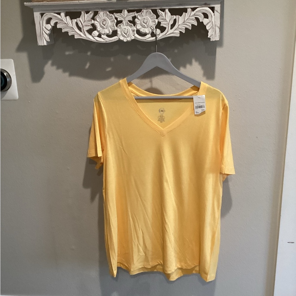 40% Off! 3 Days Only!    NWT- Gldn Cream Cato V-Neck Tee - Sz 14/16w!!!!